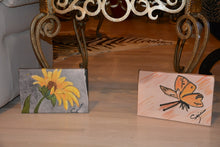 Load image into Gallery viewer, Canvas Butterfly CV301/8
