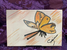 Load image into Gallery viewer, Canvas Butterfly CV301/8
